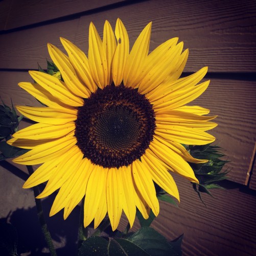 1F80C463-4CDC-4855-BAB9-E42BA1308119