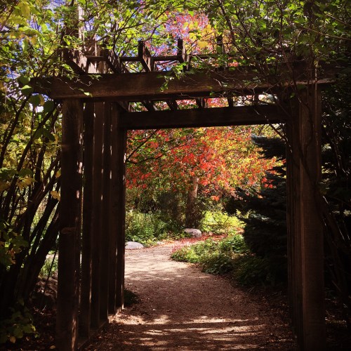 92282FB0-7685-4122-A94A-ED235DDF6F29