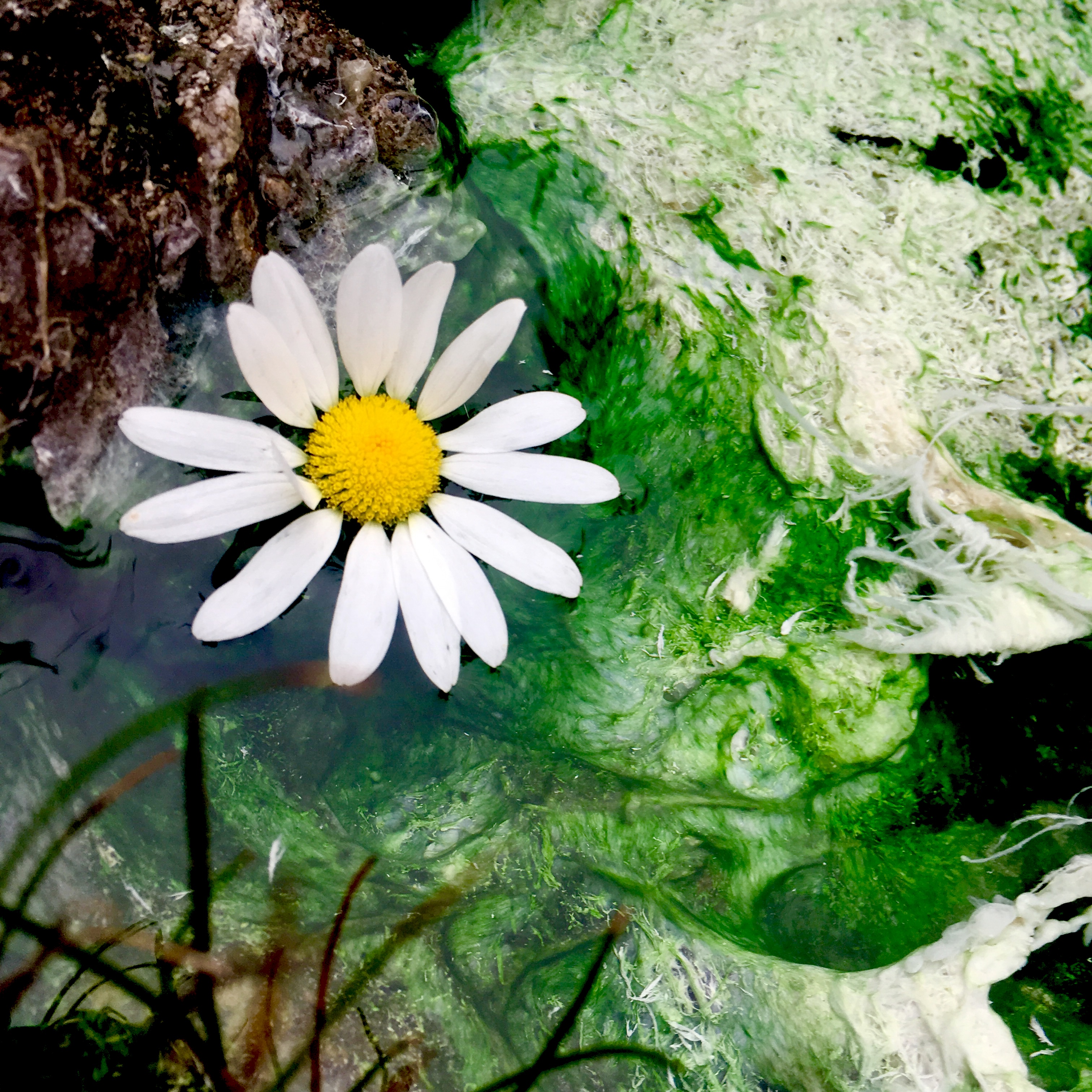 C9B3A323-5592-41C1-92D8-0F9C18B6B41C_1_201_a