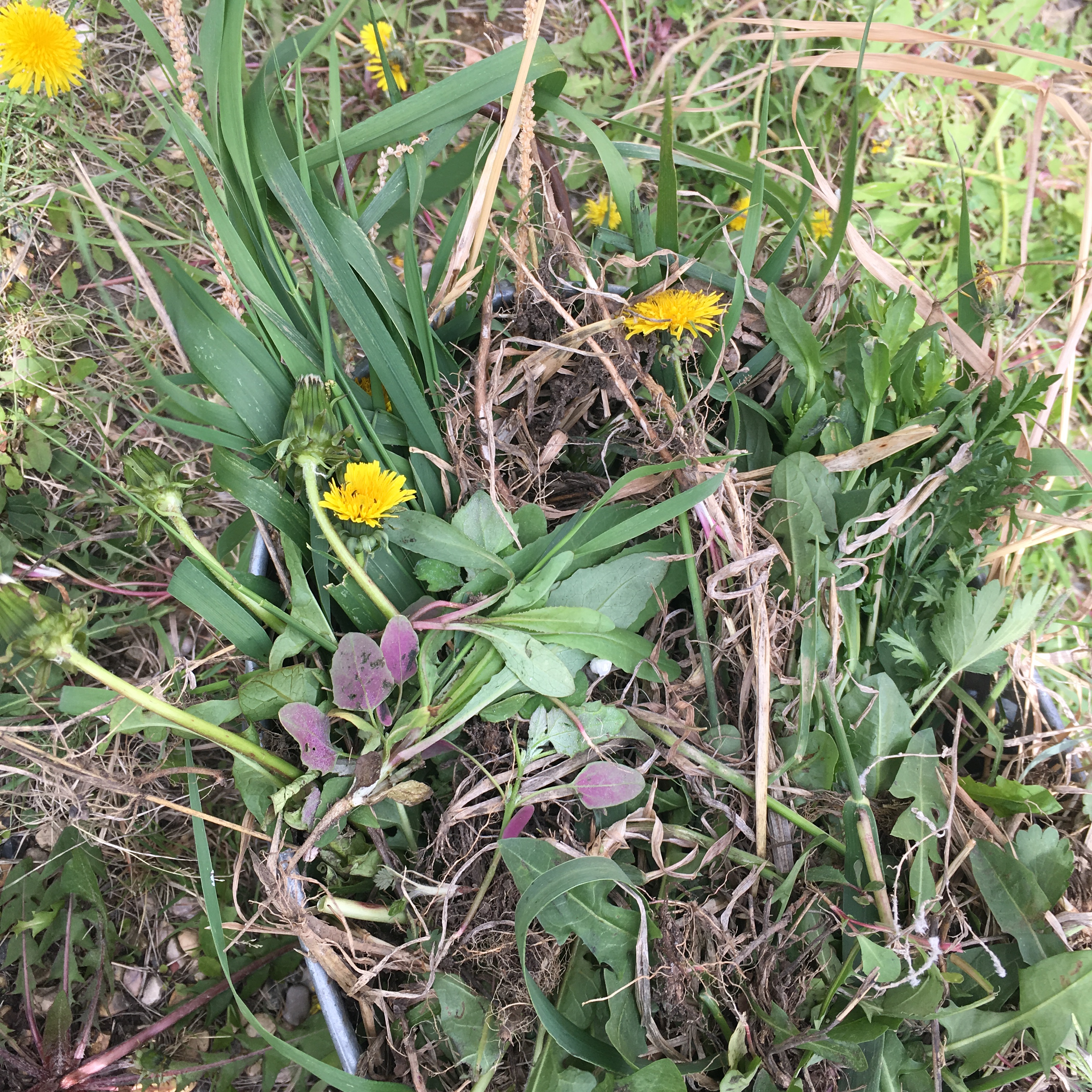 246192FE-AE41-4537-A8DB-E00871C4DE98