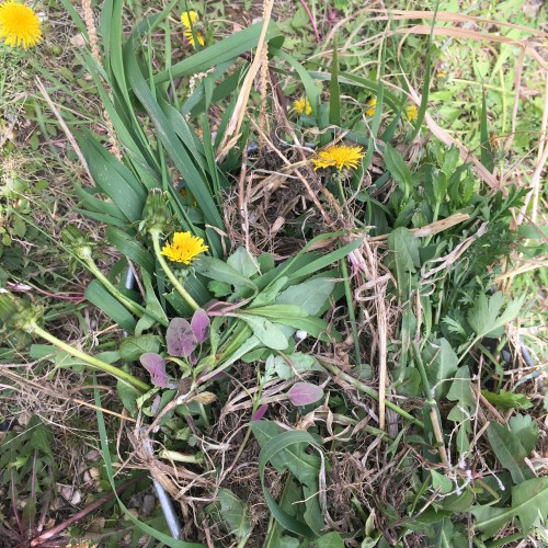 246192FE-AE41-4537-A8DB-E00871C4DE98