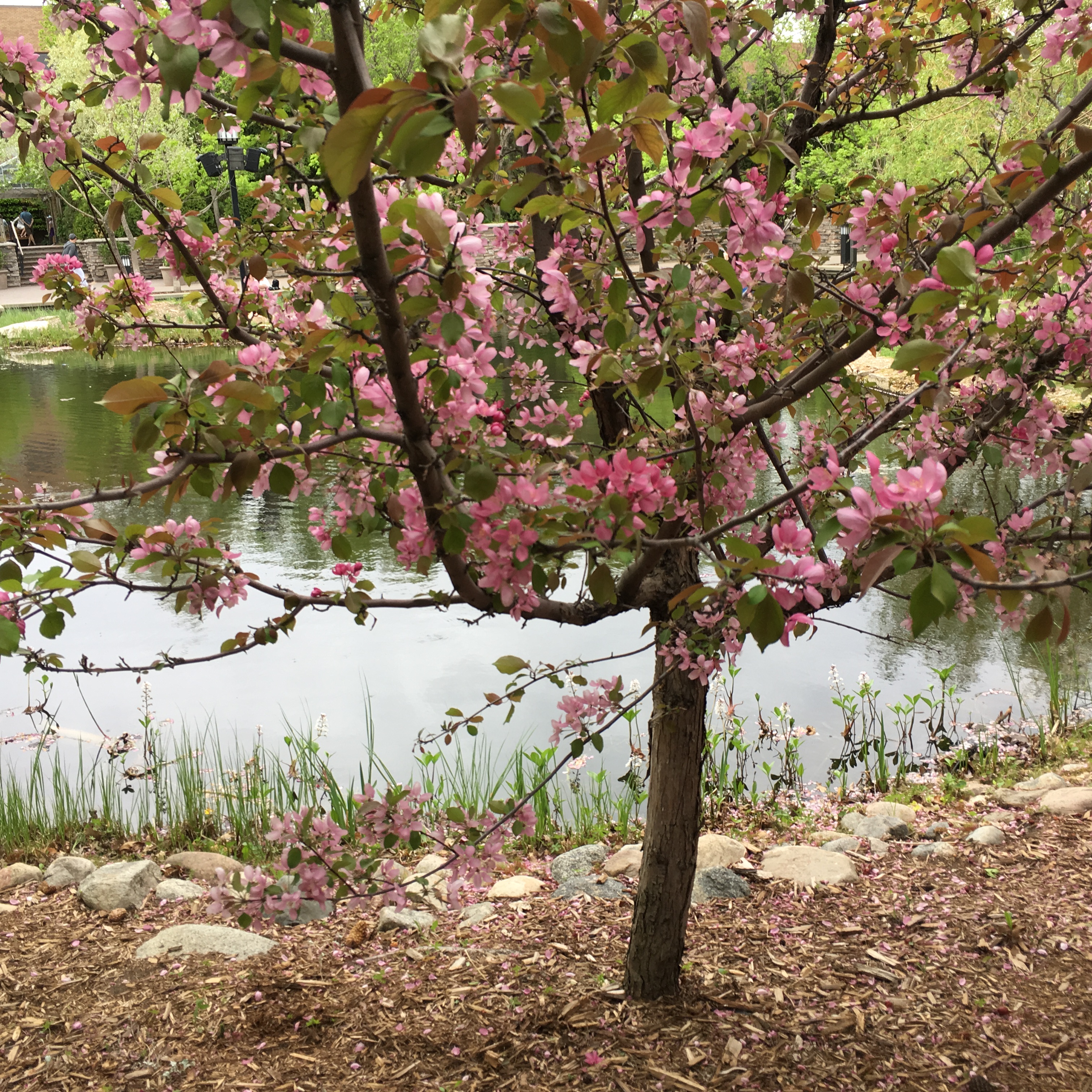 4379815C-C67E-4E11-AC0A-8D1F594B8C07