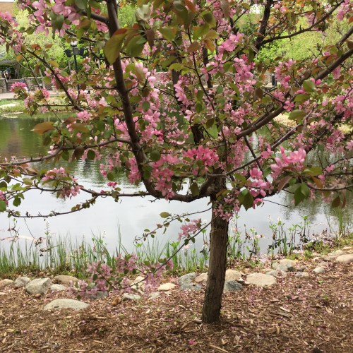 4379815C-C67E-4E11-AC0A-8D1F594B8C07