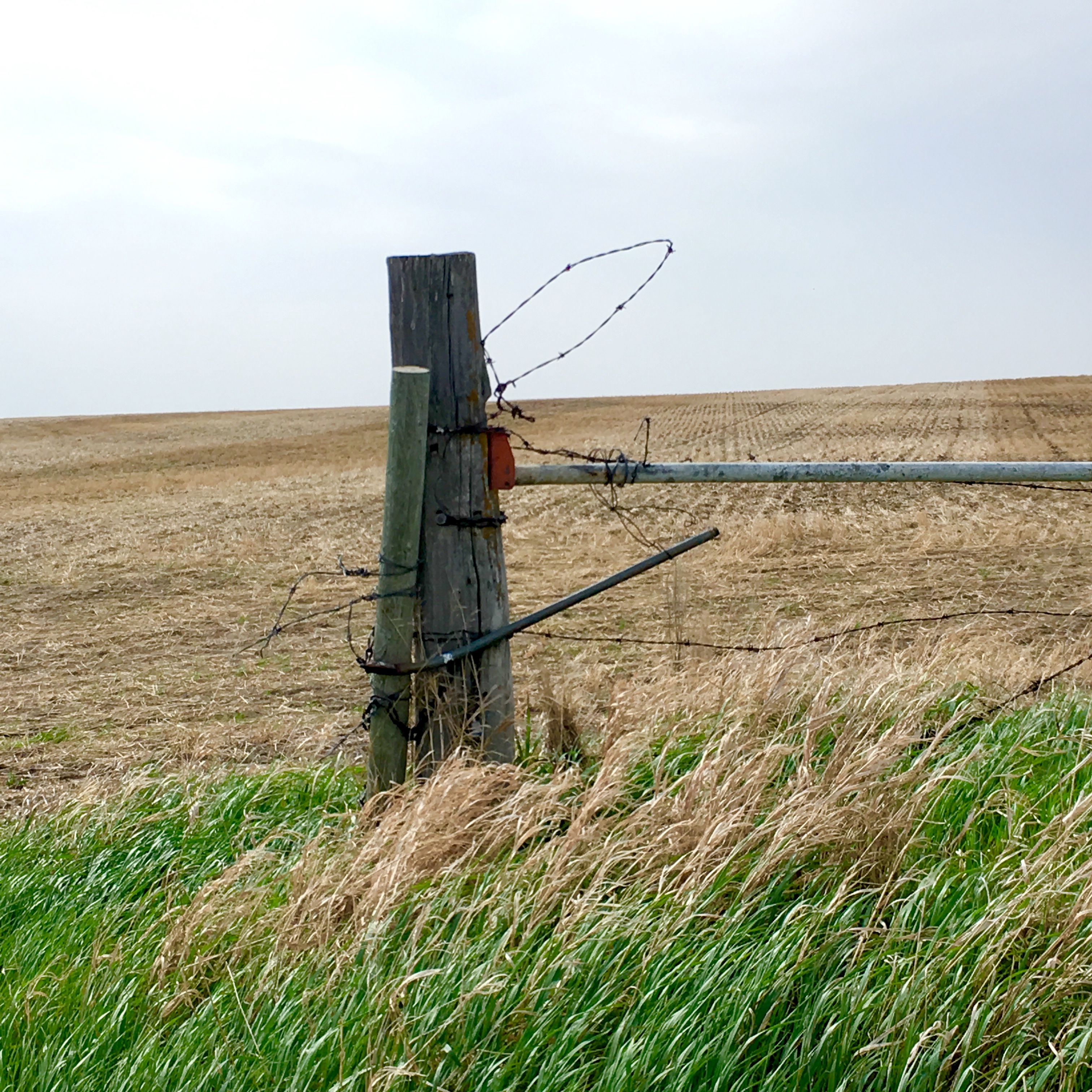 C3396A28-540F-4815-A271-2035BE2F4E3B_1_201_a