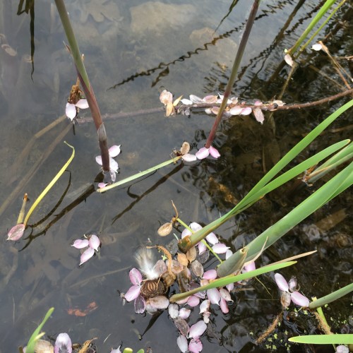 C816A8F9-6023-4863-9FB6-798CB1E4A7BF