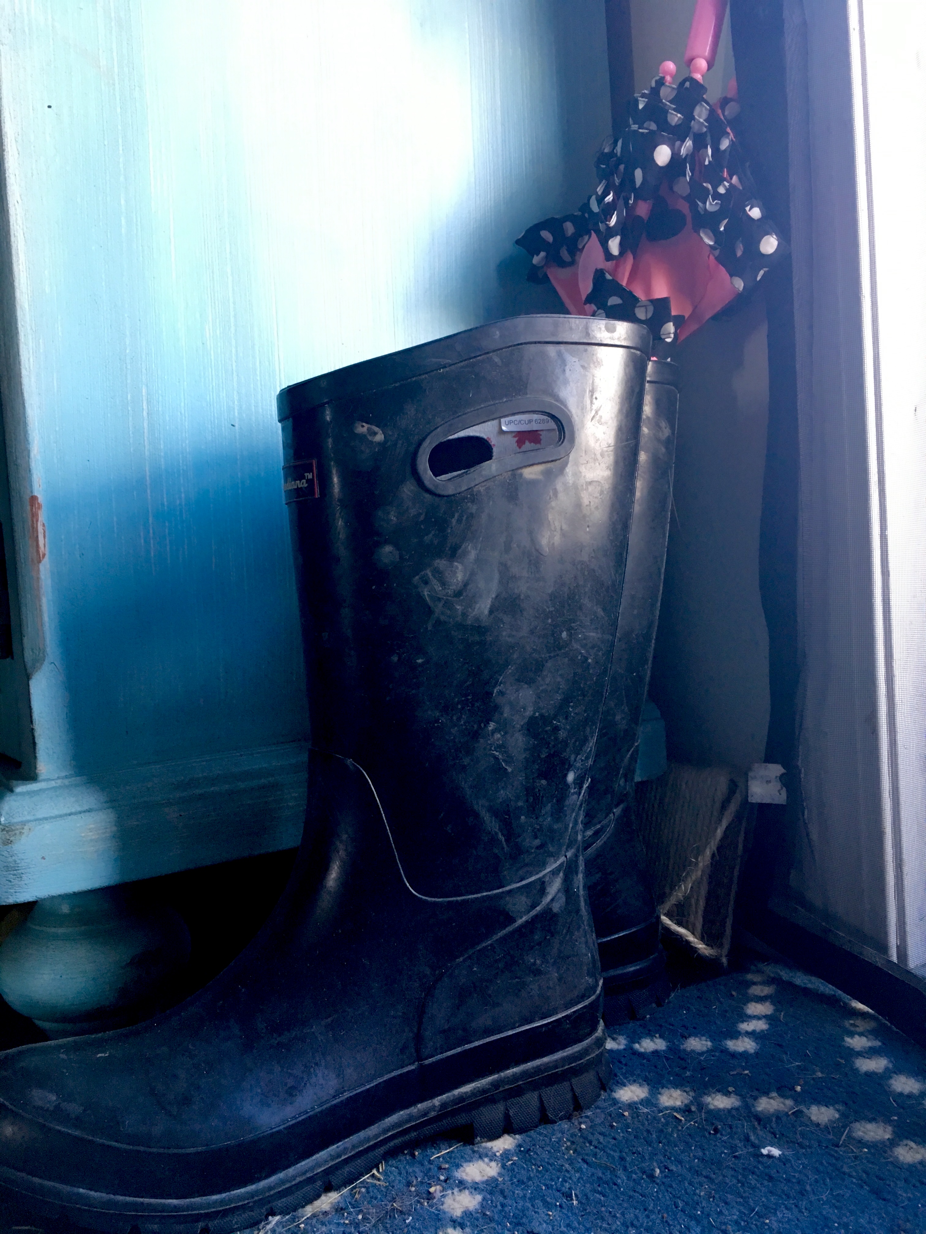 E0DB749E-17D7-494E-8CEB-130D48C3C3B5_1_201_a